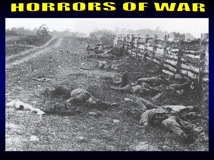 Horrors of War 3 