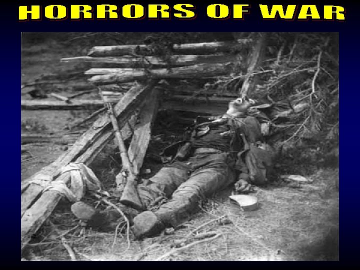 Horrors of War 3 