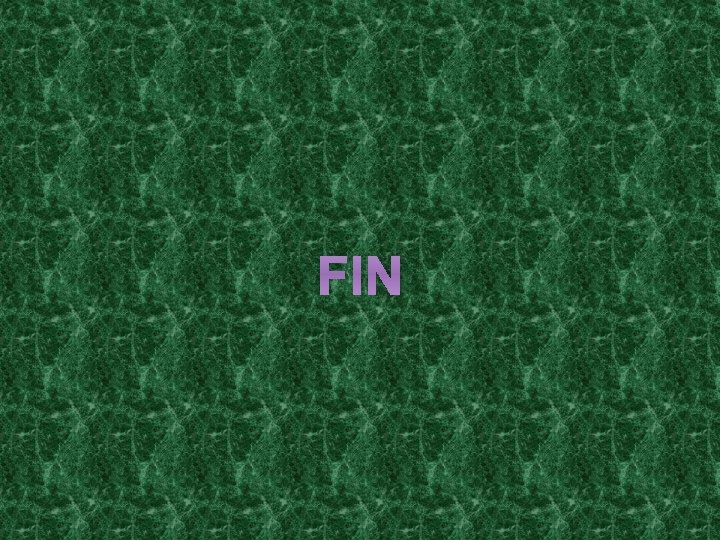 FIN 