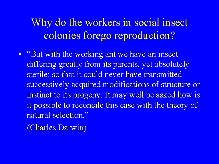 Why do the workers in social insect colonies forego reproduction? • “But with the