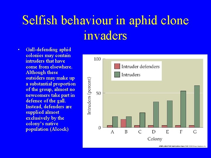 Selfish behaviour in aphid clone invaders • Gall-defending aphid colonies may contain intruders that