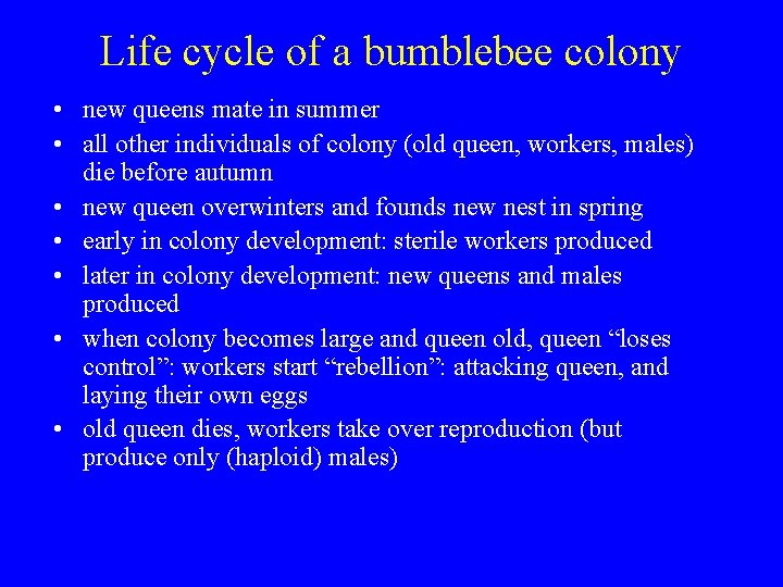 Life cycle of a bumblebee colony • new queens mate in summer • all