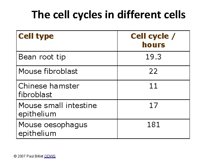 The cell cycles in different cells Cell type Bean root tip Cell cycle /