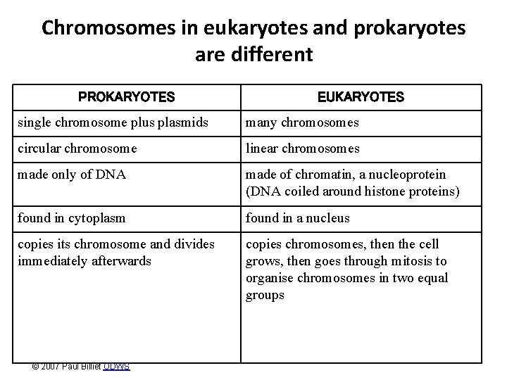 Chromosomes in eukaryotes and prokaryotes are different PROKARYOTES EUKARYOTES single chromosome plus plasmids many