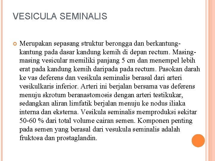 VESICULA SEMINALIS Merupakan sepasang struktur berongga dan berkantung pada dasar kandung kemih di depan