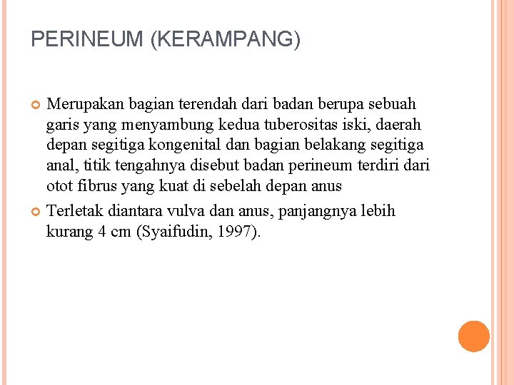 PERINEUM (KERAMPANG) Merupakan bagian terendah dari badan berupa sebuah garis yang menyambung kedua tuberositas