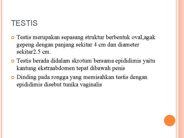 TESTIS Testis merupakan sepasang struktur berbentuk oval, agak gepeng dengan panjang sekitar 4 cm