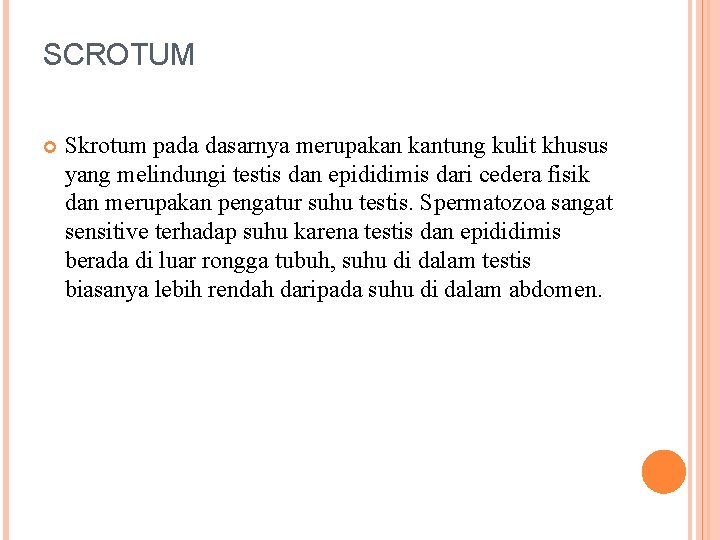 SCROTUM Skrotum pada dasarnya merupakan kantung kulit khusus yang melindungi testis dan epididimis dari