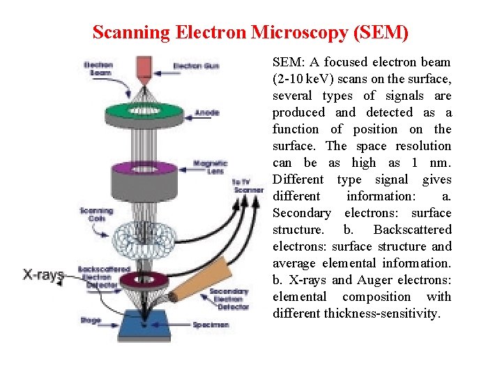 Scanning Electron Microscopy (SEM) SEM: A focused electron beam (2 -10 ke. V) scans