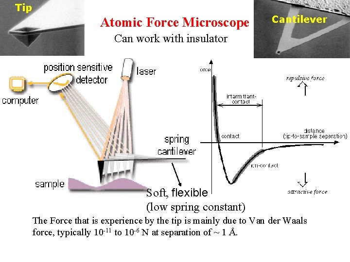 Tip Atomic Force Microscope Cantilever Can work with insulator Soft, flexible (low spring constant)