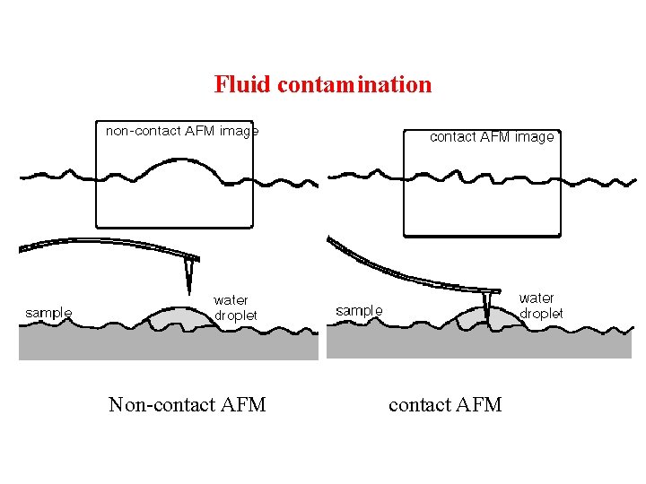 Fluid contamination Non-contact AFM 
