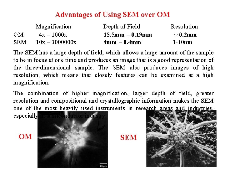 Advantages of Using SEM over OM OM SEM Magnification 4 x – 1000 x