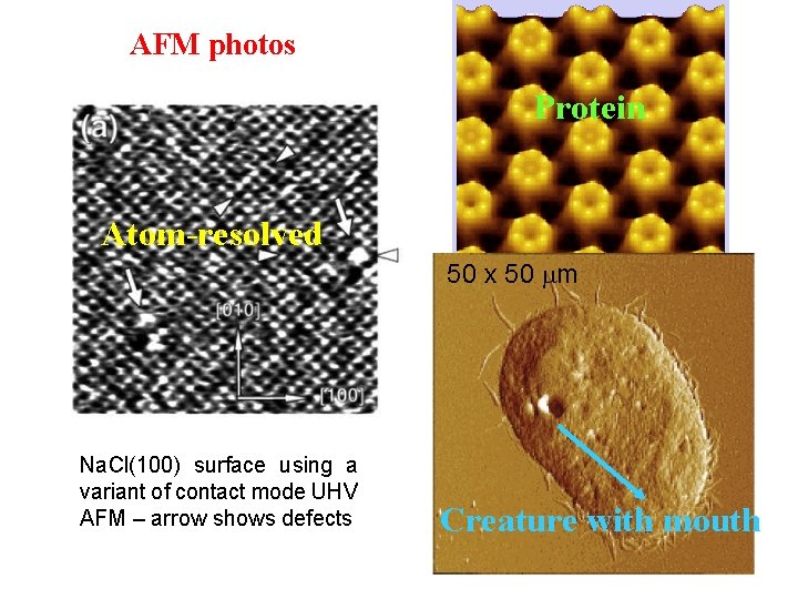 AFM photos Protein Atom-resolved 50 x 50 mm Na. Cl(100) surface using a variant