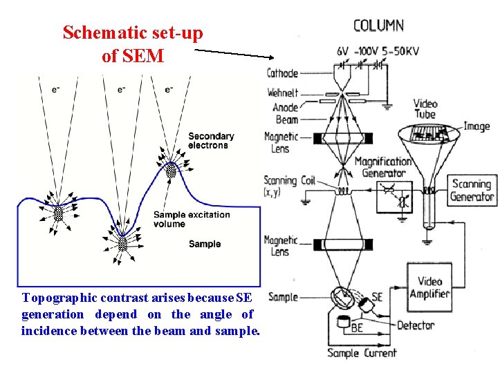 Schematic set-up of SEM Topographic contrast arises because SE generation depend on the angle