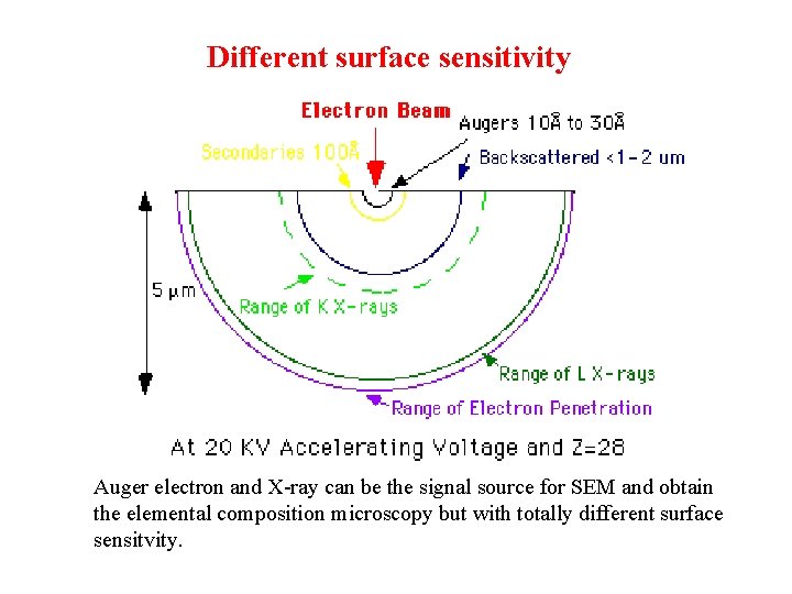 Different surface sensitivity Auger electron and X-ray can be the signal source for SEM