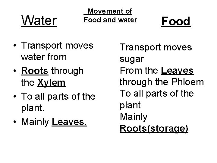 Water Movement of Food and water • Transport moves water from • Roots through