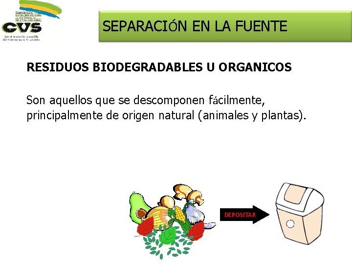 SEPARACIÓN EN LA FUENTE RESIDUOS BIODEGRADABLES U ORGANICOS Son aquellos que se descomponen fácilmente,
