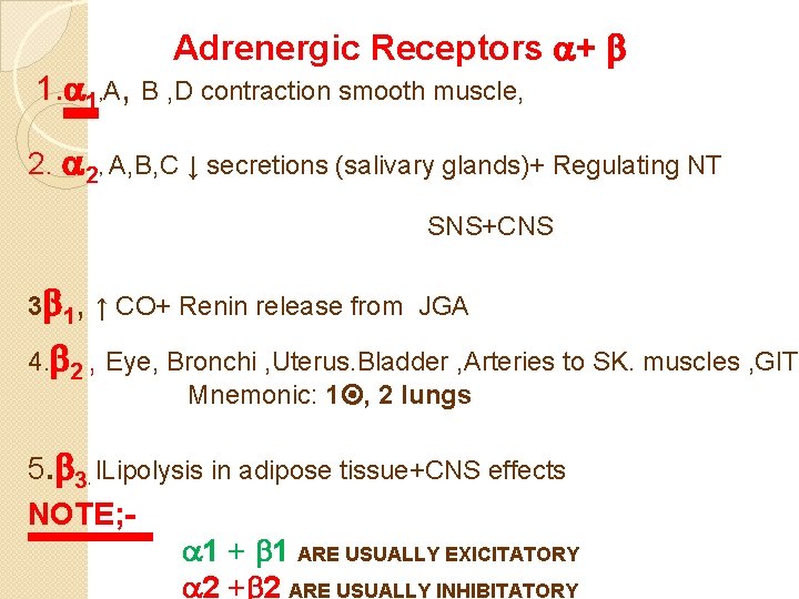 Adrenergic Receptors + 1. 1, A, B , D contraction smooth muscle, 2. 2,