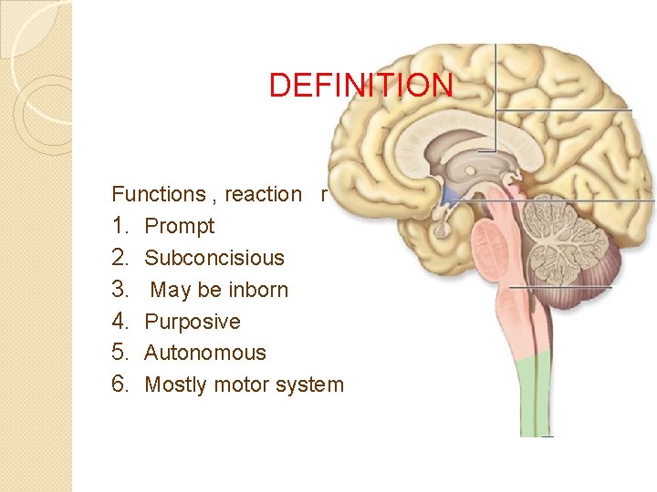 DEFINITION Functions , reaction r 1. Prompt 2. Subconcisious 3. May be inborn 4.