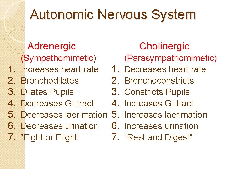 Autonomic Nervous System Adrenergic 1. 2. 3. 4. 5. 6. 7. (Sympathomimetic) Increases heart