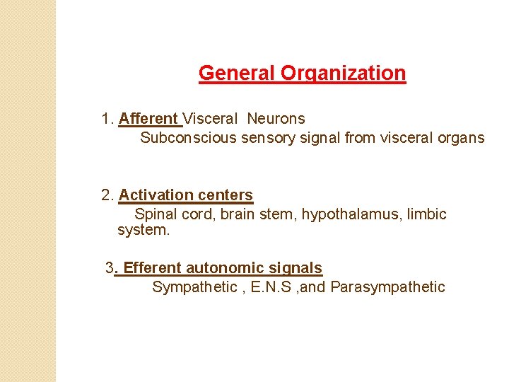 General Organization 1. Afferent Visceral Neurons Subconscious sensory signal from visceral organs 2. Activation