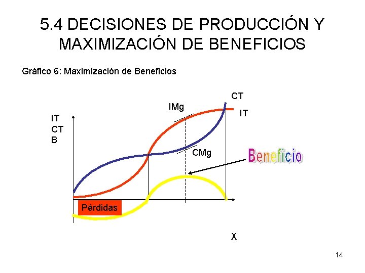 TEMA 5 COSTES Y MAXIMIZACIN DE BENEFICIOS 1