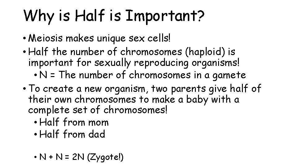 Why is Half is Important? • Meiosis makes unique sex cells! • Half the