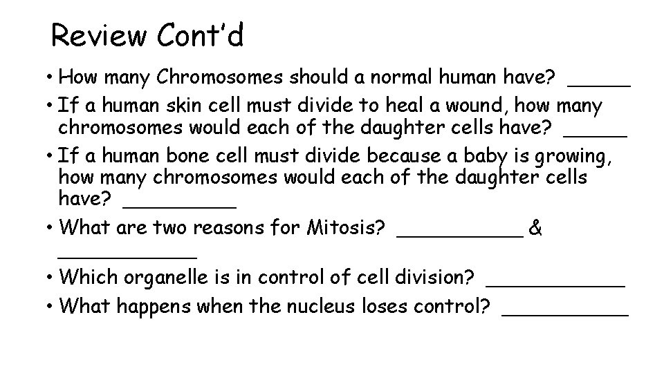 Review Cont’d • How many Chromosomes should a normal human have? _____ • If
