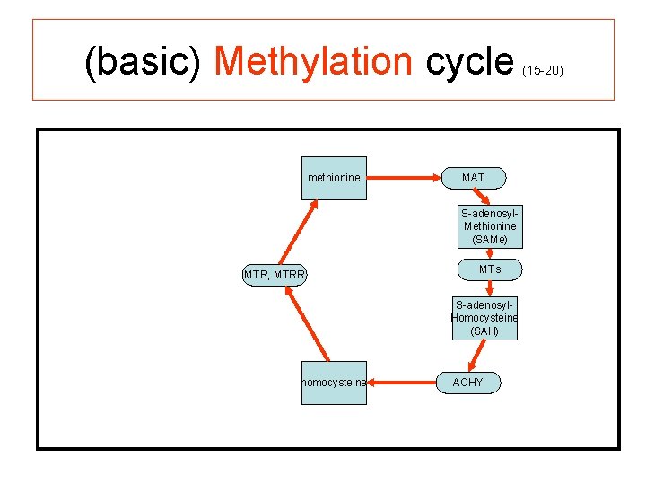 (basic) Methylation cycle methionine (15 -20) MAT S-adenosyl. Methionine (SAMe) MTR, MTRR MTs S-adenosyl.