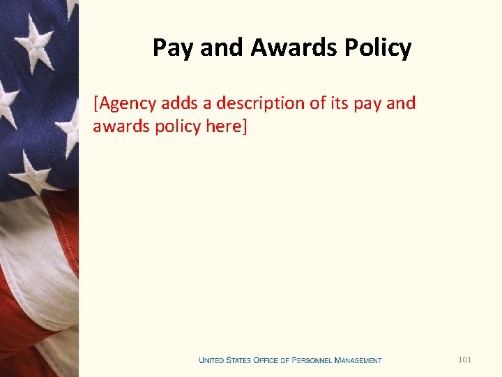 Pay and Awards Policy [Agency adds a description of its pay and awards policy