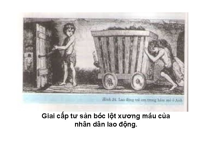 Giai cấp tư sản bóc lột xương máu của nhân dân lao động. Giai cấp tư sản bóc lột xương máu của nhân dân lao động.