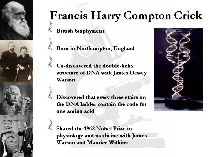 Francis Harry Compton Crick British biophysicist Born in Northampton, England Co-discovered the double-helix structure