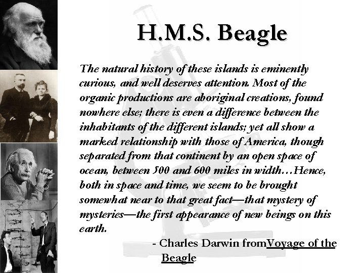 H. M. S. Beagle The natural history of these islands is eminently curious, and