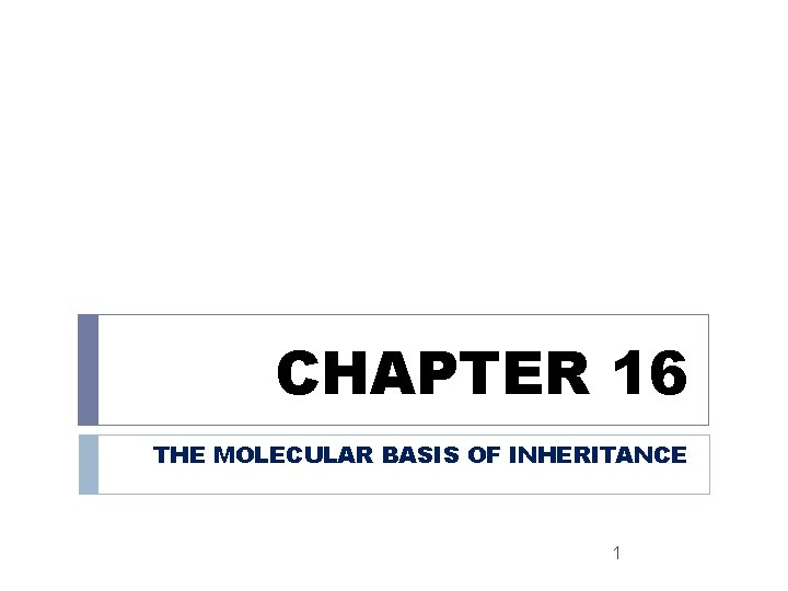 CHAPTER 16 THE MOLECULAR BASIS OF INHERITANCE 1 