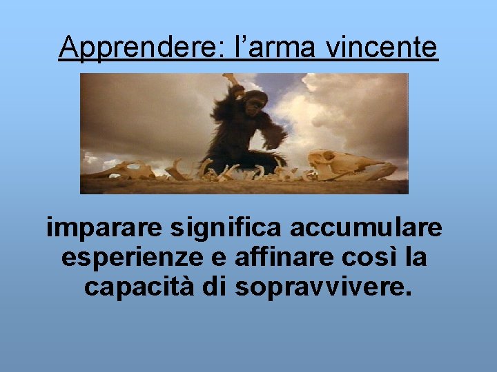 Apprendere: l’arma vincente imparare significa accumulare esperienze e affinare così la capacità di sopravvivere.