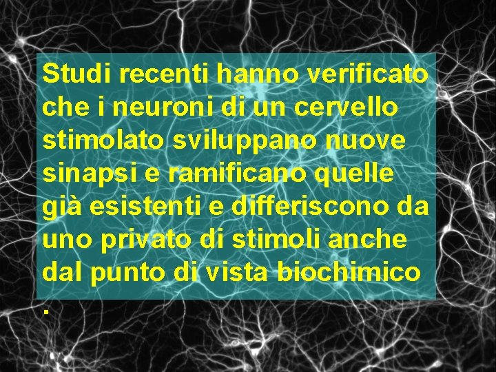 Studi recenti hanno verificato che i neuroni di un cervello stimolato sviluppano nuove sinapsi