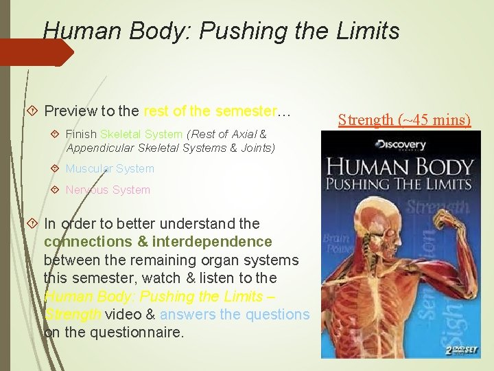 Human Body: Pushing the Limits Preview to the rest of the semester… Finish Skeletal