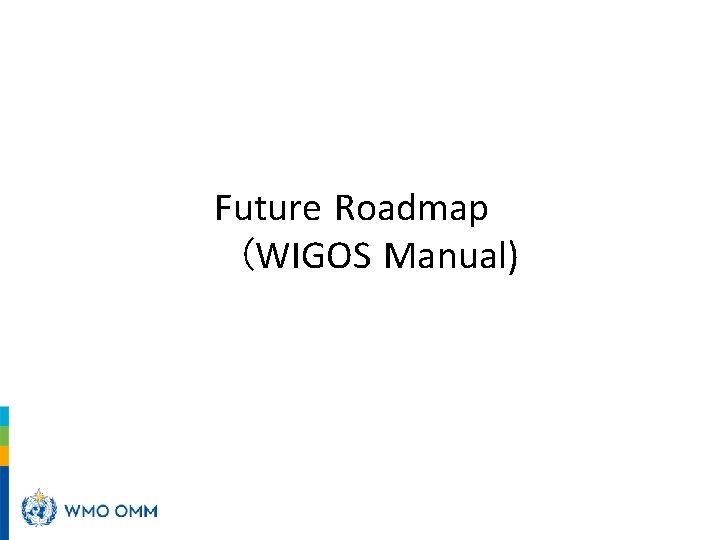 Future Roadmap (WIGOS Manual) 