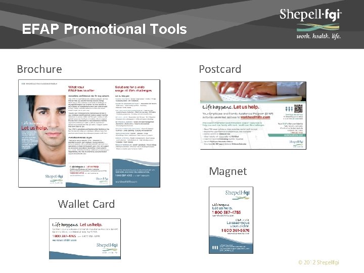 EFAP Promotional Tools Brochure Postcard Magnet Wallet Card 