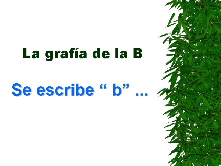 La grafía de la B Se escribe “ b”. . . 