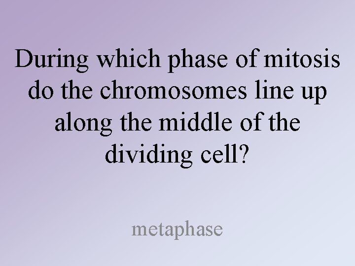 During which phase of mitosis do the chromosomes line up along the middle of During which phase of mitosis do the chromosomes line up along the middle of