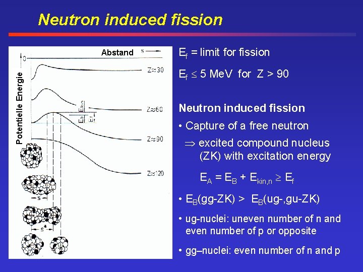 Neutron induced fission Potentielle Energie Abstand Ef = limit for fission Ef 5 Me.