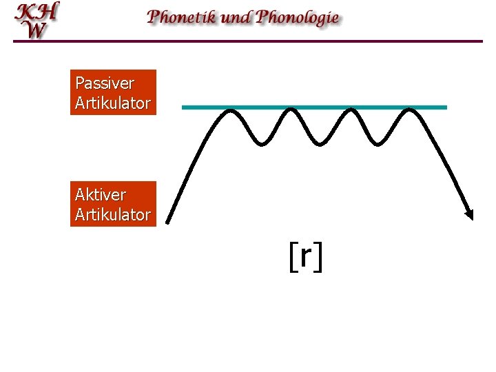 Passiver Artikulator Aktiver Artikulator [r] 