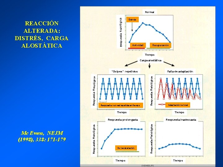 Respuesta Fisiológica Normal REACCIÓN ALTERADA: DISTRÉS, CARGA ALOSTÁTICA Estrés Actividad Recuperación Tiempo Carga alostática