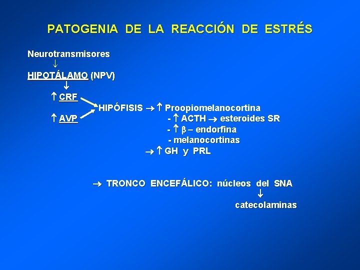 PATOGENIA DE LA REACCIÓN DE ESTRÉS Neurotransmisores HIPOTÁLAMO (NPV) CRF HIPÓFISIS Proopiomelanocortina AVP -