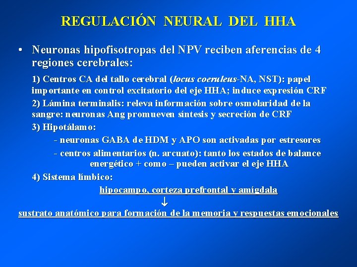 REGULACIÓN NEURAL DEL HHA • Neuronas hipofisotropas del NPV reciben aferencias de 4 regiones