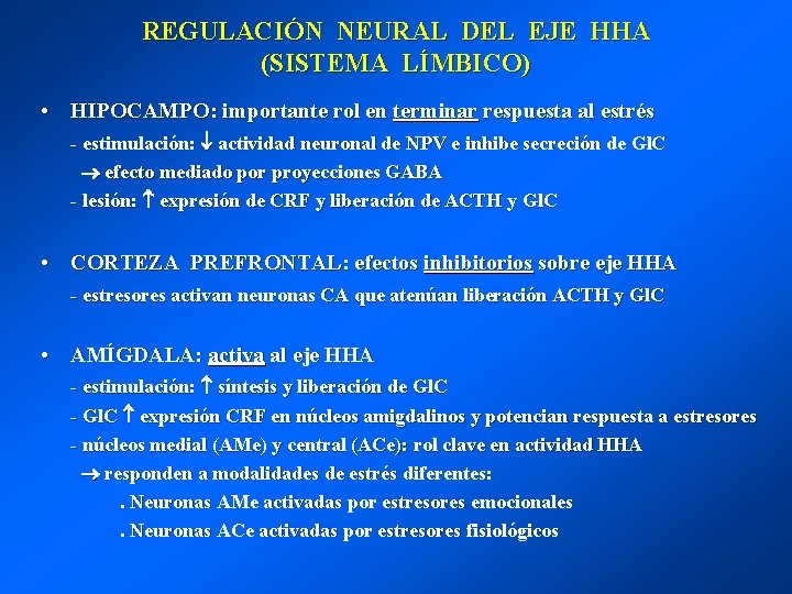 REGULACIÓN NEURAL DEL EJE HHA (SISTEMA LÍMBICO) • HIPOCAMPO: importante rol en terminar respuesta