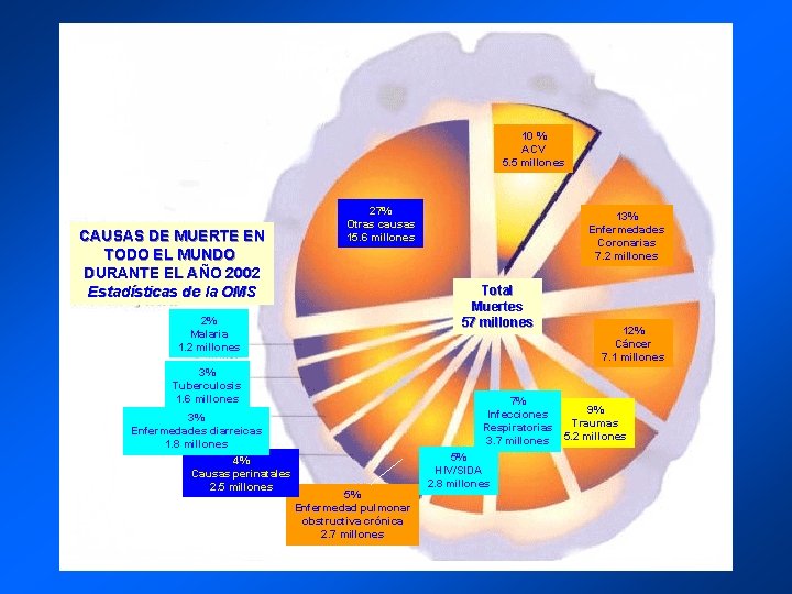 10 % ACV 5. 5 millones CAUSAS DE MUERTE EN TODO EL MUNDO DURANTE