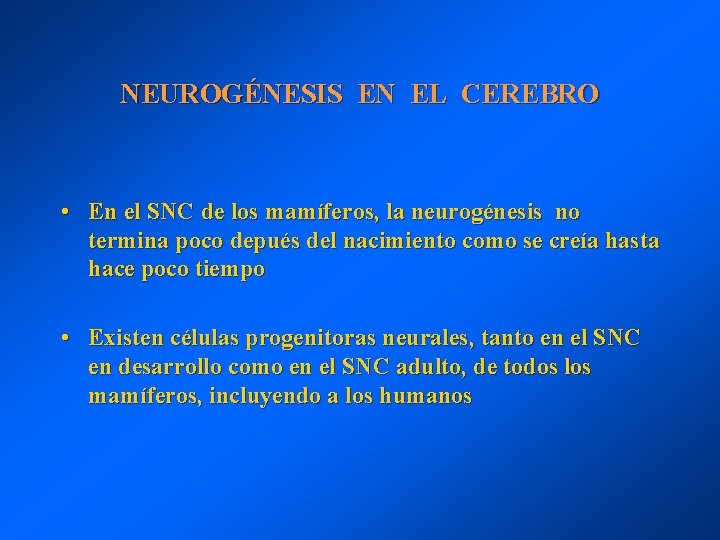 NEUROGÉNESIS EN EL CEREBRO • En el SNC de los mamíferos, la neurogénesis no