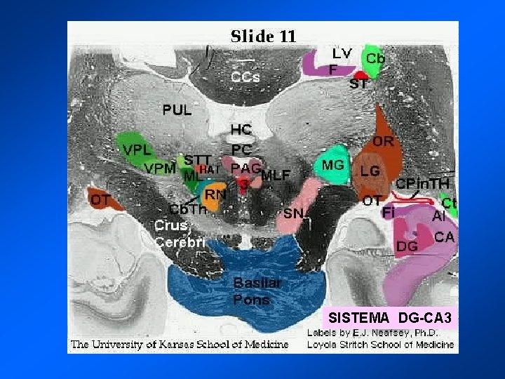 SISTEMA DG-CA 3 